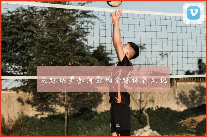 足球明星如何影响全球体育文化